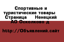  Спортивные и туристические товары - Страница 2 . Ненецкий АО,Осколково д.